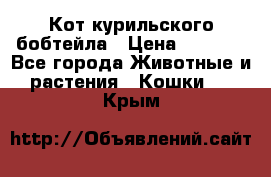 Кот курильского бобтейла › Цена ­ 5 000 - Все города Животные и растения » Кошки   . Крым